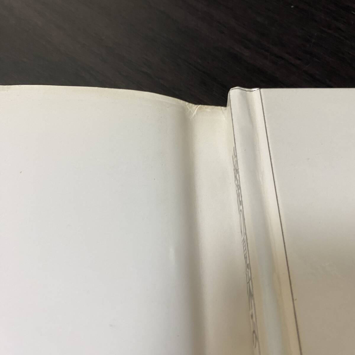 写真集 吉川茉絵 最後の夏休み 西條彰仁_画像7