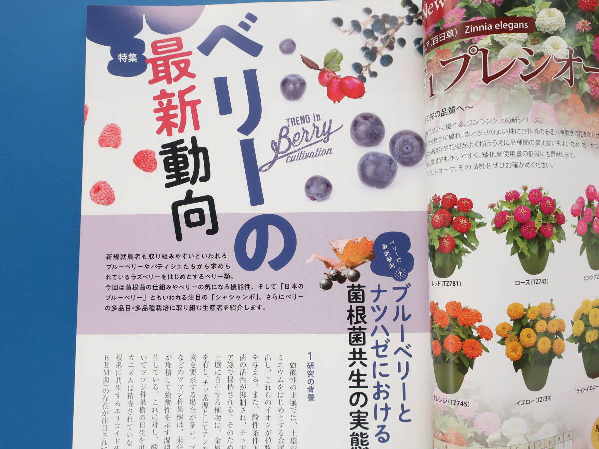 農耕と園芸 2021年12月号 冬/農業芸産地管理解説/保存版特集:ブルーベリーの動向 シャシャンボ 多品目多品種/バイオスティミュラント事情_画像4