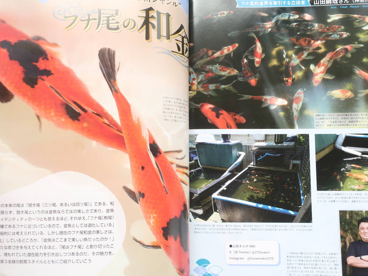きんぎょ生活 No.10/月刊アクアライフ2024年8月増刊号/保存版金魚グラビアカタログ飼育解説特集:フナ尾の和金 金魚の進化/生産者品評会拝見_画像4