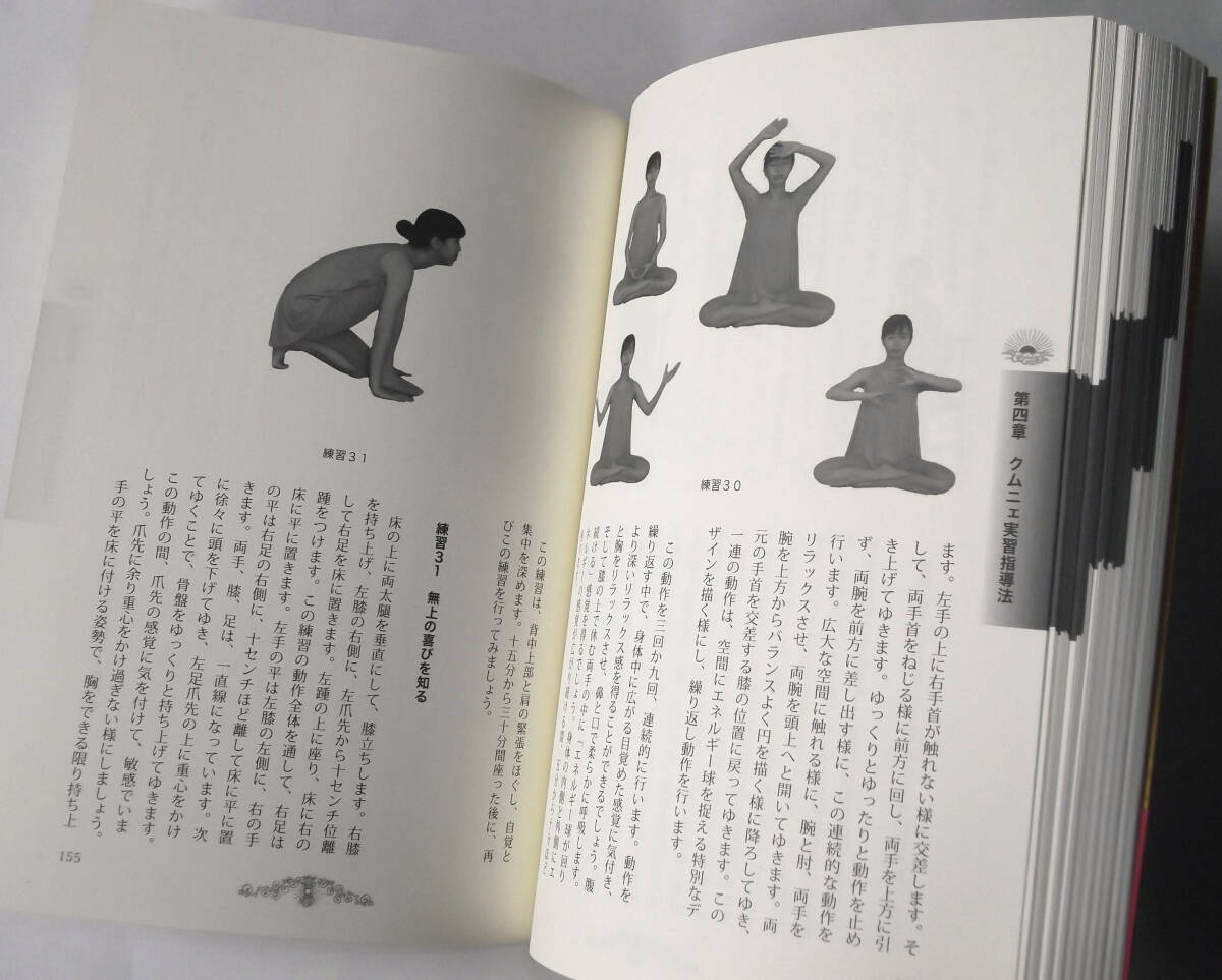 チベット医学の瞑想ヨーガ クムニェ リラックスとバランスの自然治癒力心身養生法 タルタン・トゥルク 林久義 ヨガ 整体 マニュアル 2019年_画像4