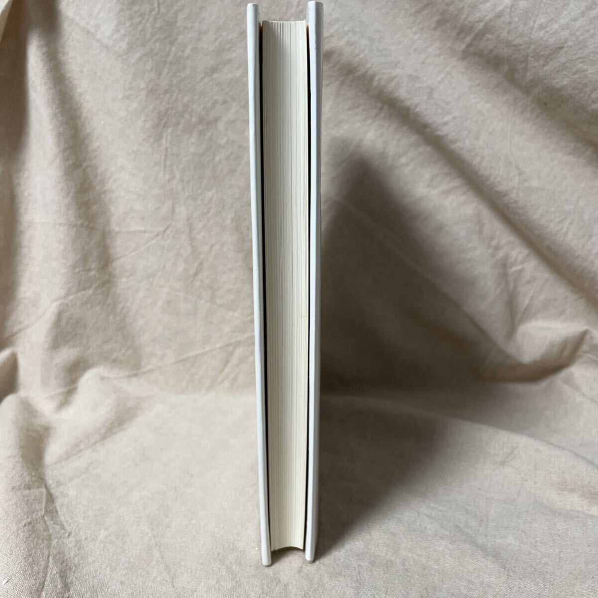 天への憧れ ロマン主義、クレー、リルケ、ベンヤミンにおける天使　リートマル・アーペル　林捷：訳 初版 2005年 法政大学出版局　除籍本_画像7