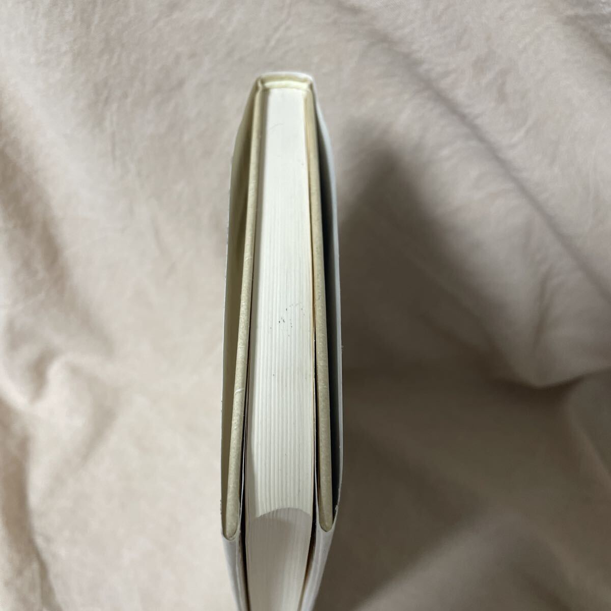 天への憧れ ロマン主義、クレー、リルケ、ベンヤミンにおける天使　リートマル・アーペル　林捷：訳 初版 2005年 法政大学出版局　除籍本_画像8