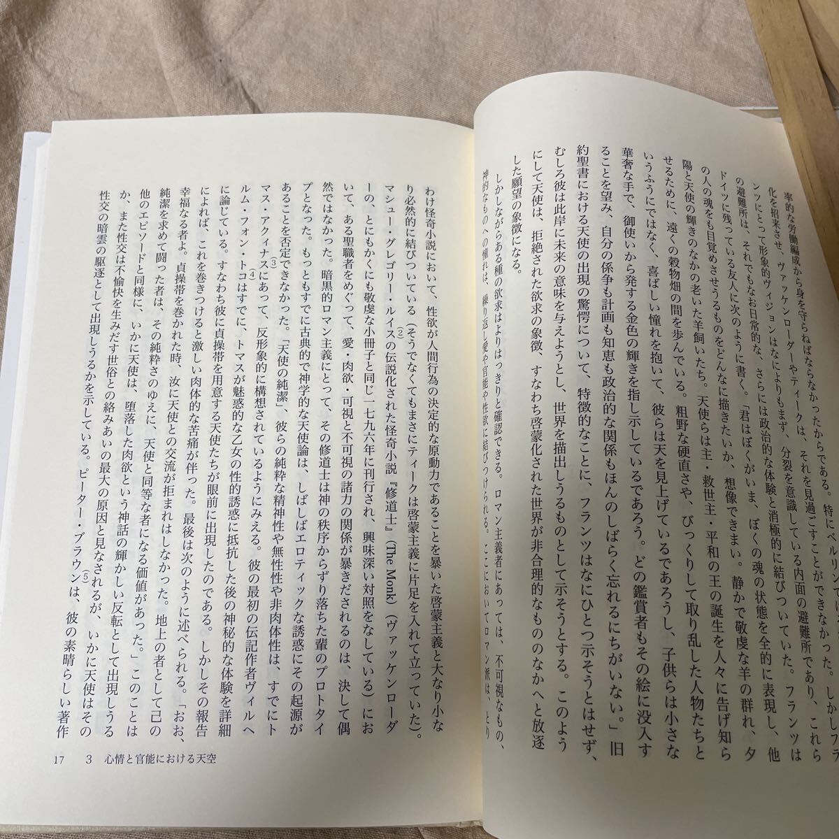 天への憧れ ロマン主義、クレー、リルケ、ベンヤミンにおける天使　リートマル・アーペル　林捷：訳 初版 2005年 法政大学出版局　除籍本_画像10