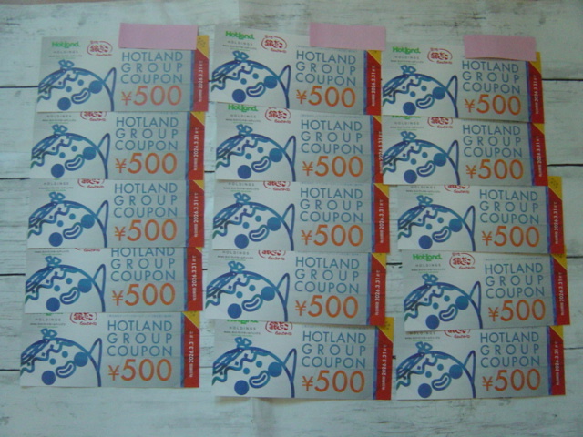 即決あり!ホットランド/銀だこ/株主優待券7,500円分(500円×15枚)有効期限2026/3月末日まで_画像1