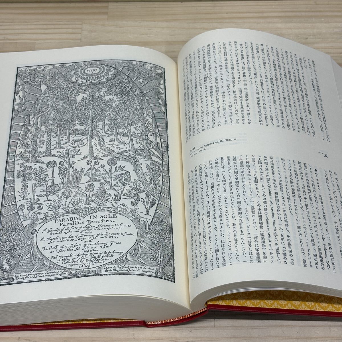 初版 花の文化史 花の歴史をつくった人々 春山行夫 講談社 天金仕様 スリーブ付/古本/汚れヤケシミ傷み/本体良好/状態は画像で確認を/NCで_画像9