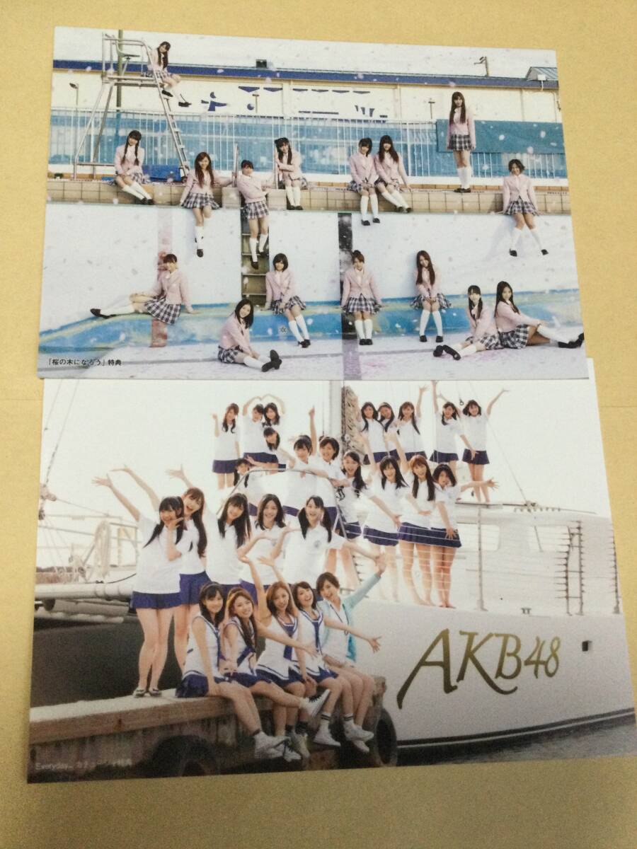 AKB48 桜の木になろう・Everyday カチューシャ 特典公式写真 前田敦子 大島優子 渡辺麻友 柏木由紀 山本彩 他 即決有_画像1