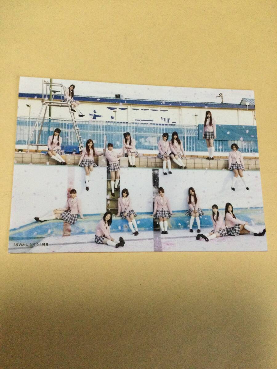 AKB48 桜の木になろう・Everyday カチューシャ 特典公式写真 前田敦子 大島優子 渡辺麻友 柏木由紀 山本彩 他 即決有_画像2