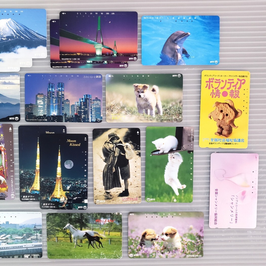 使用済み 穴あき テレホンカード テレカ 当時物 コレクション 富士山 観光地 新幹線 動物 夜景 風景 レトロ 穴あきテレカ_画像3