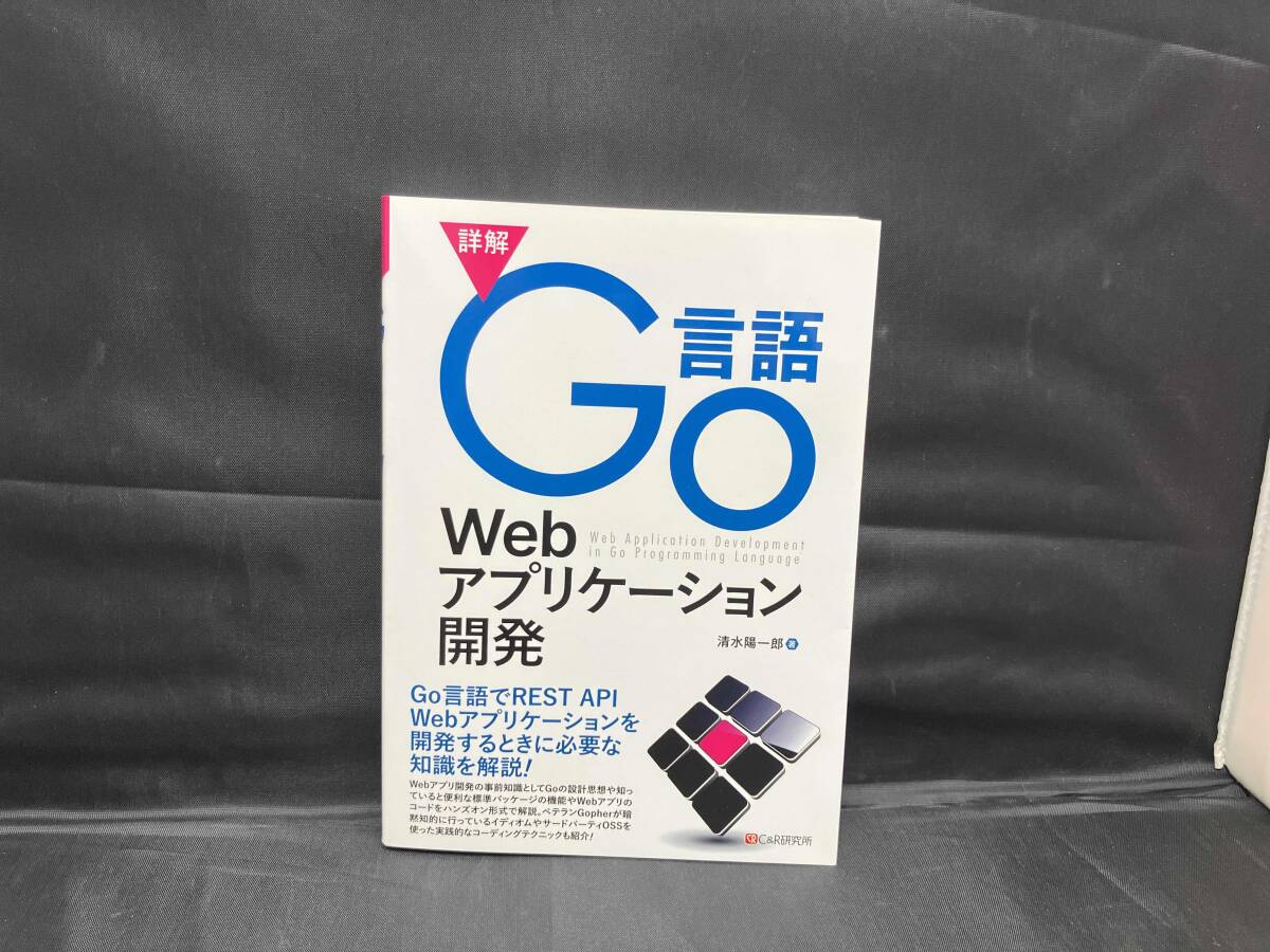 詳解 Go言語Webアプリケーション開発 清水陽一郎 店舗受取可_画像1