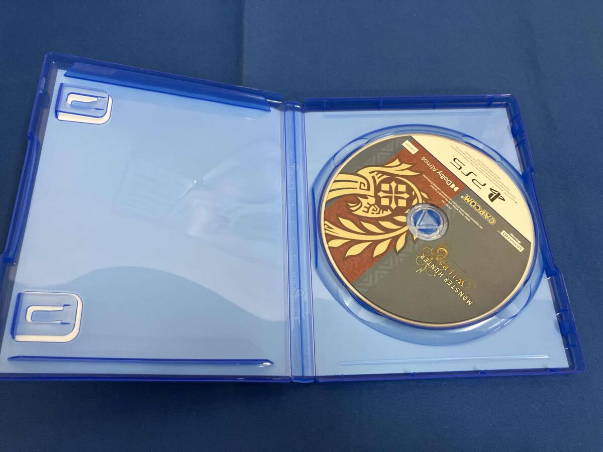 モンスターハンターワイルズ_画像4