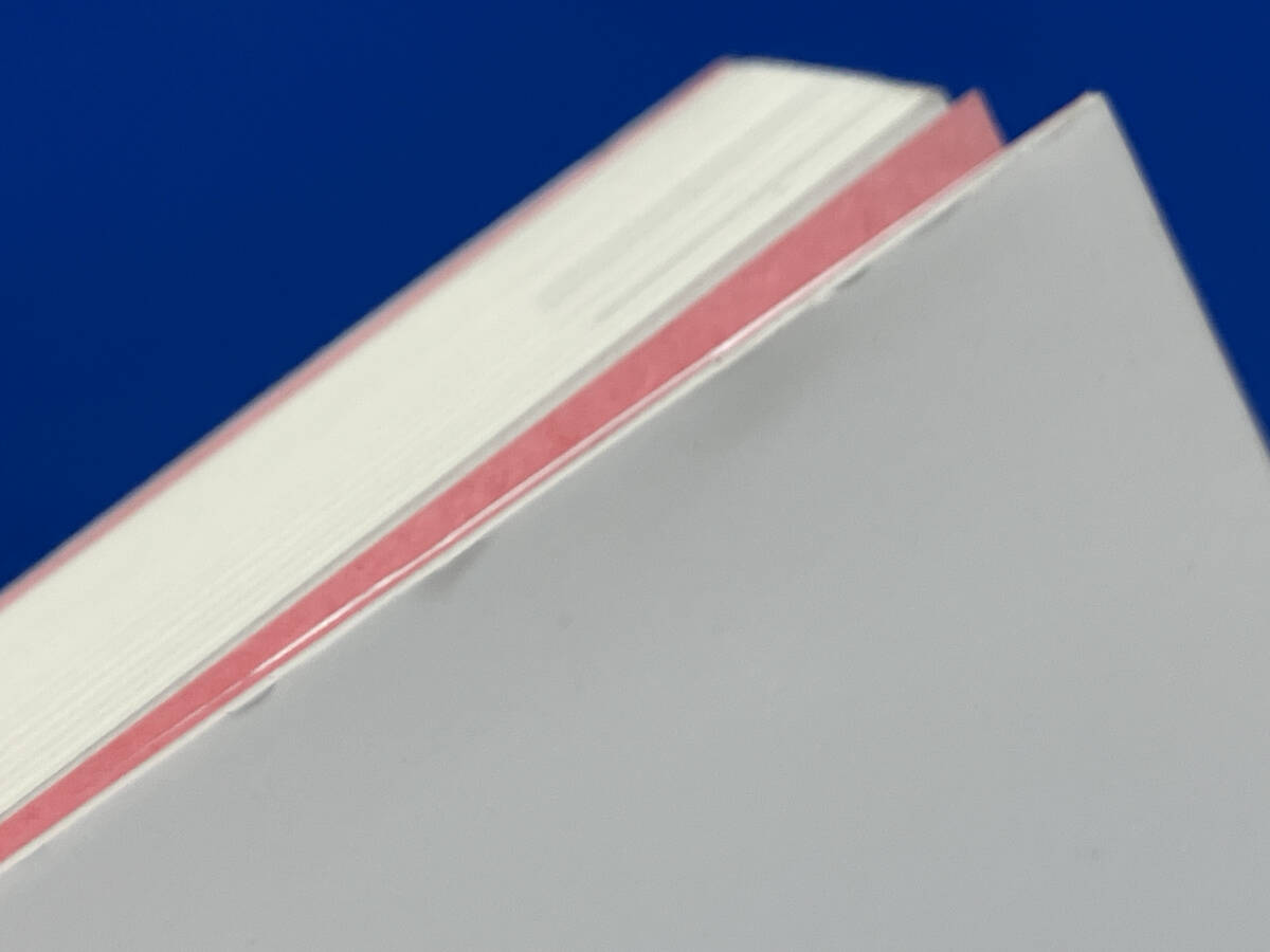 アンヌ今昔物語 ひし美ゆり子_画像5