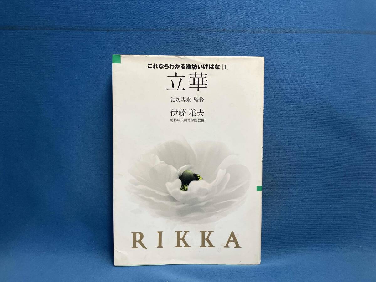 立華 伊藤雅夫_画像1