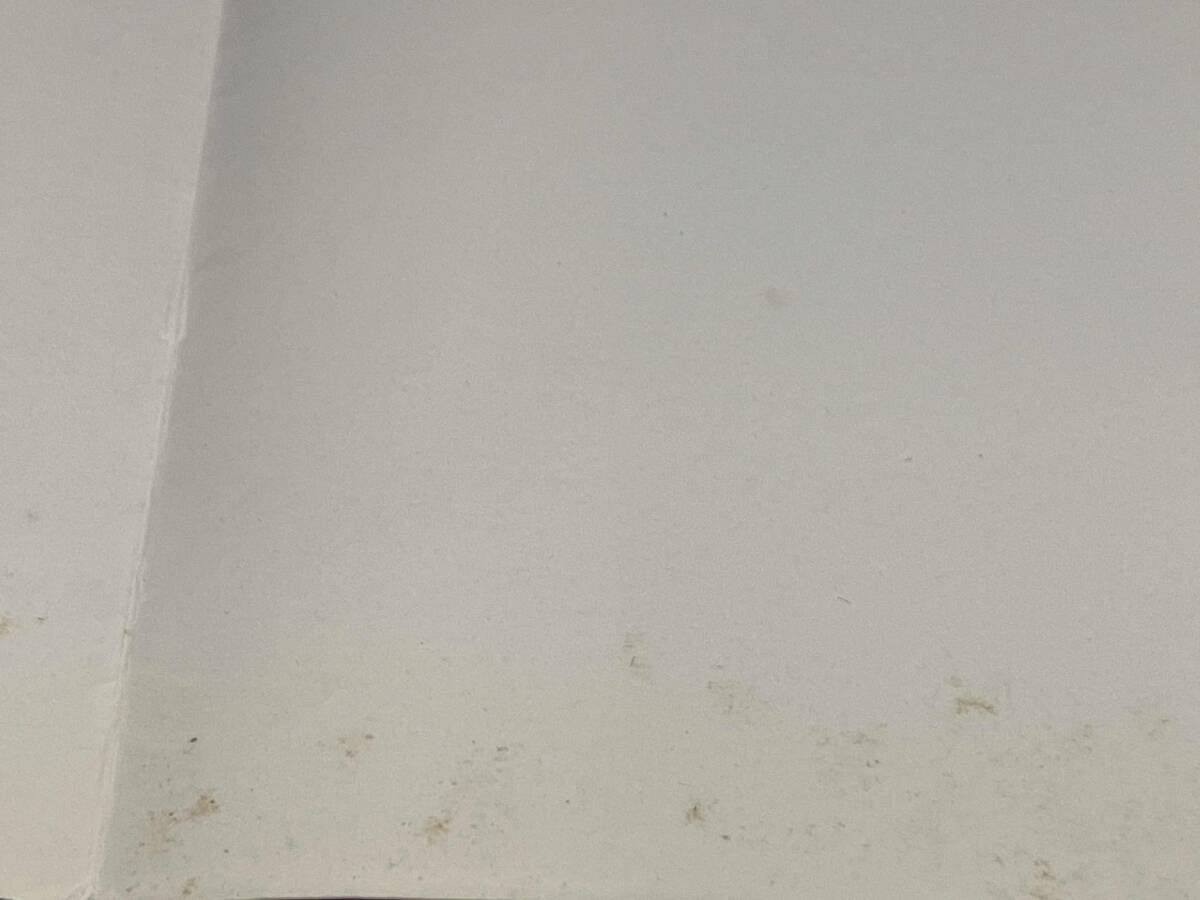 立華 伊藤雅夫_画像6