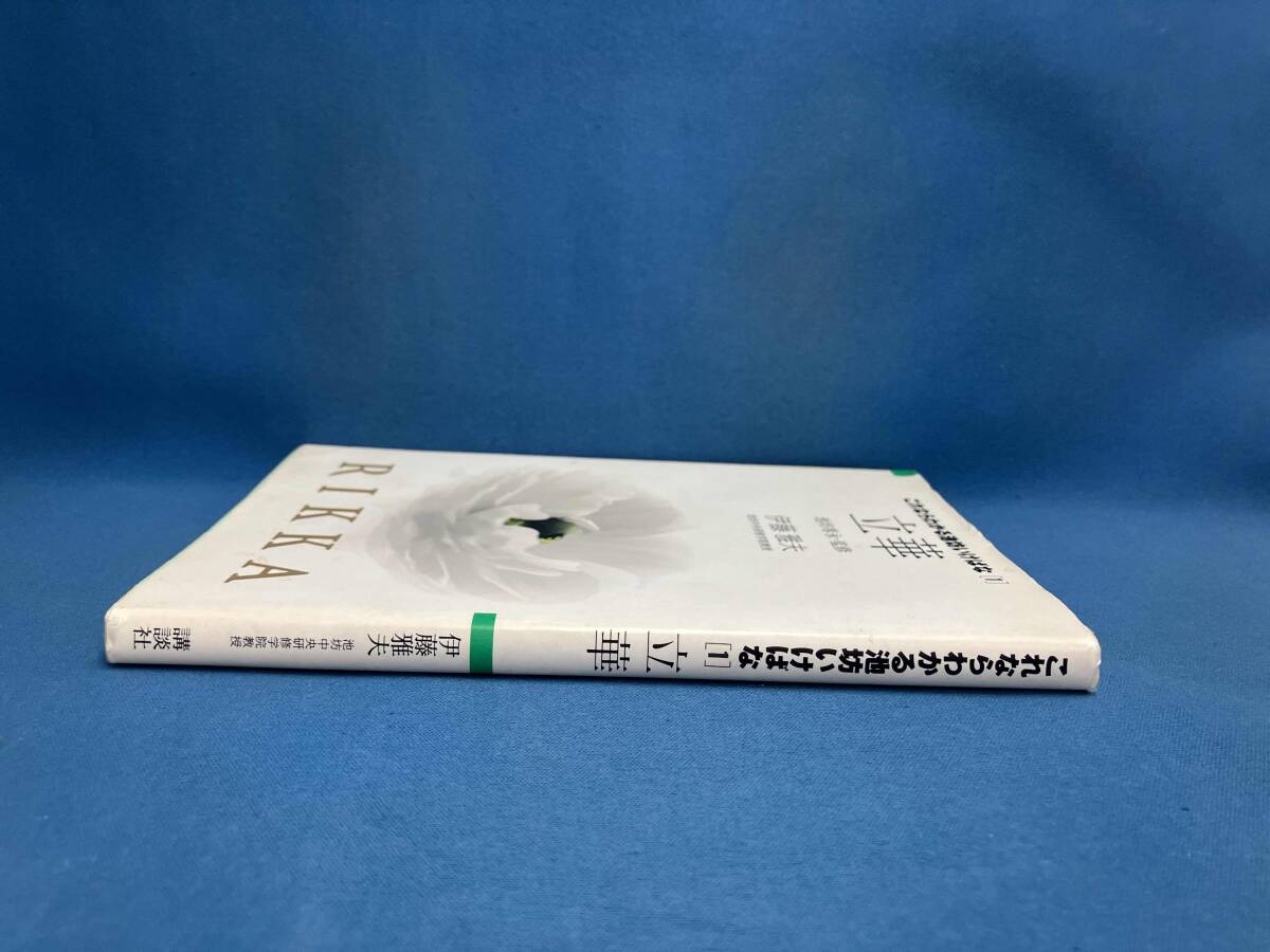 立華 伊藤雅夫_画像2