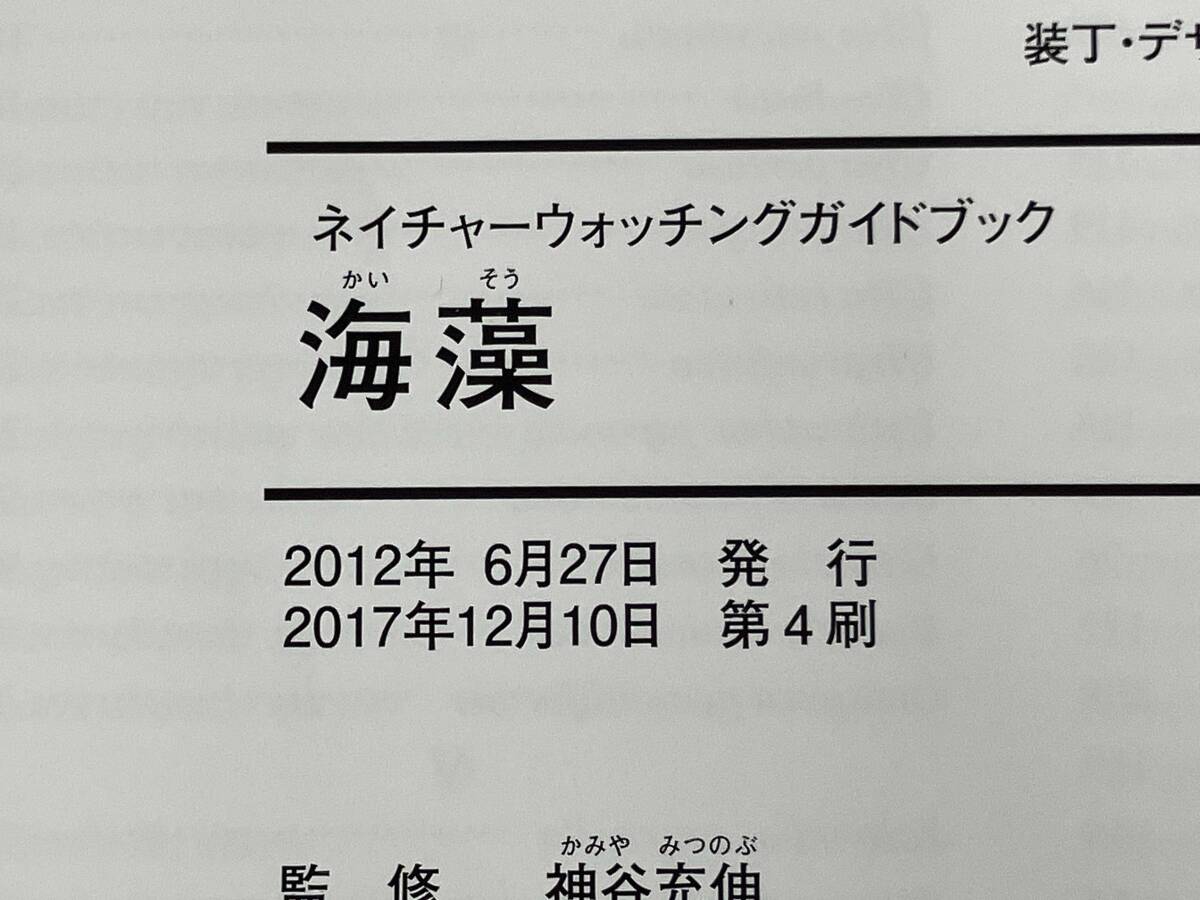 ◆ 海藻 阿部秀樹_画像5