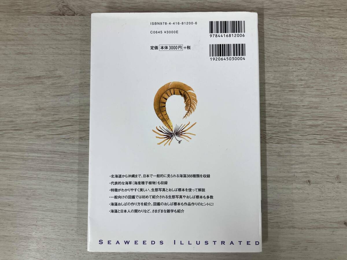 ◆ 海藻 阿部秀樹_画像2