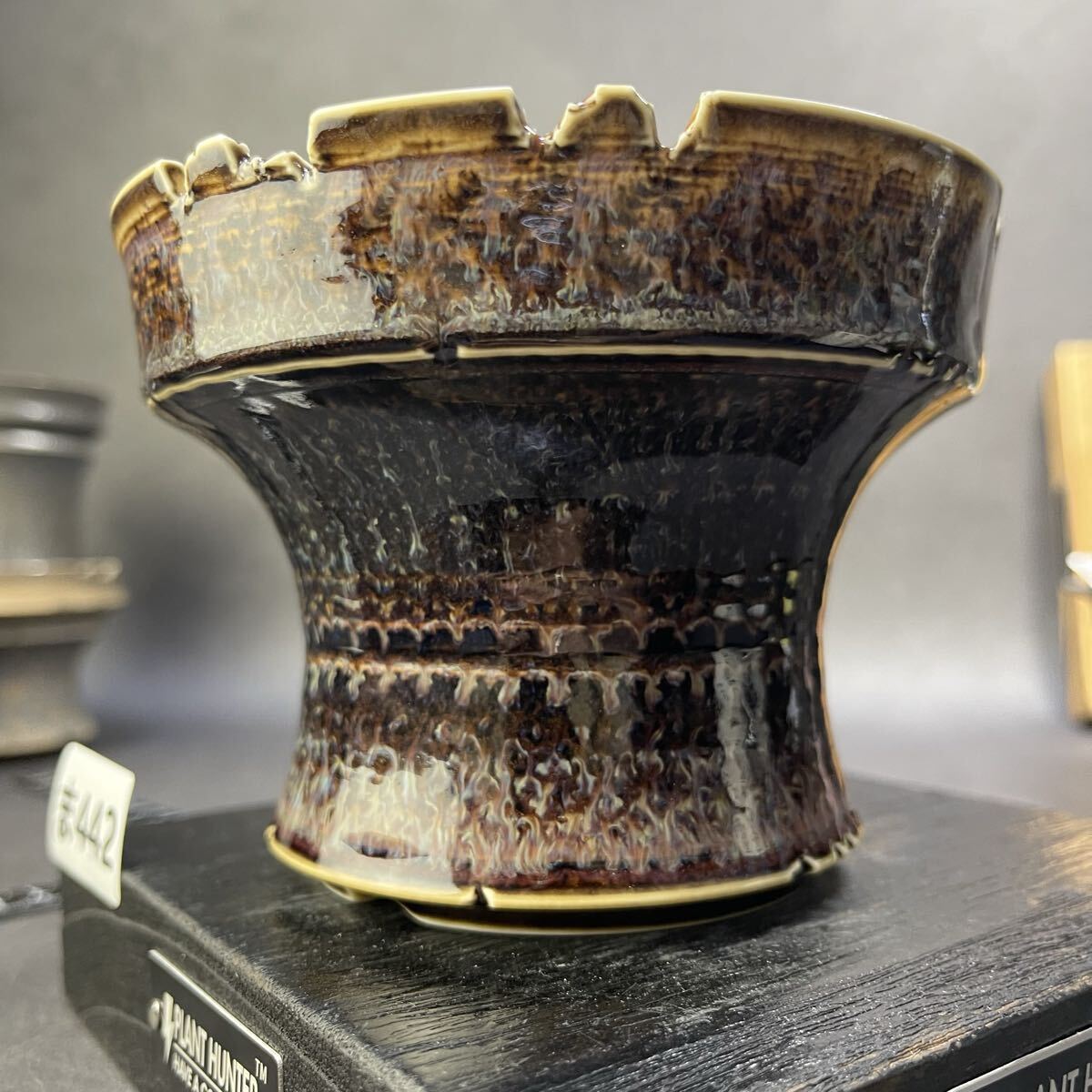 ま442 HAND Made L 植木鉢 陶器検（アガベ パキプス 姫巌竜 帝釈天 黒火焔 factory SRL カタチ製作所 グラキリス 塊根植物 亀甲竜_画像10