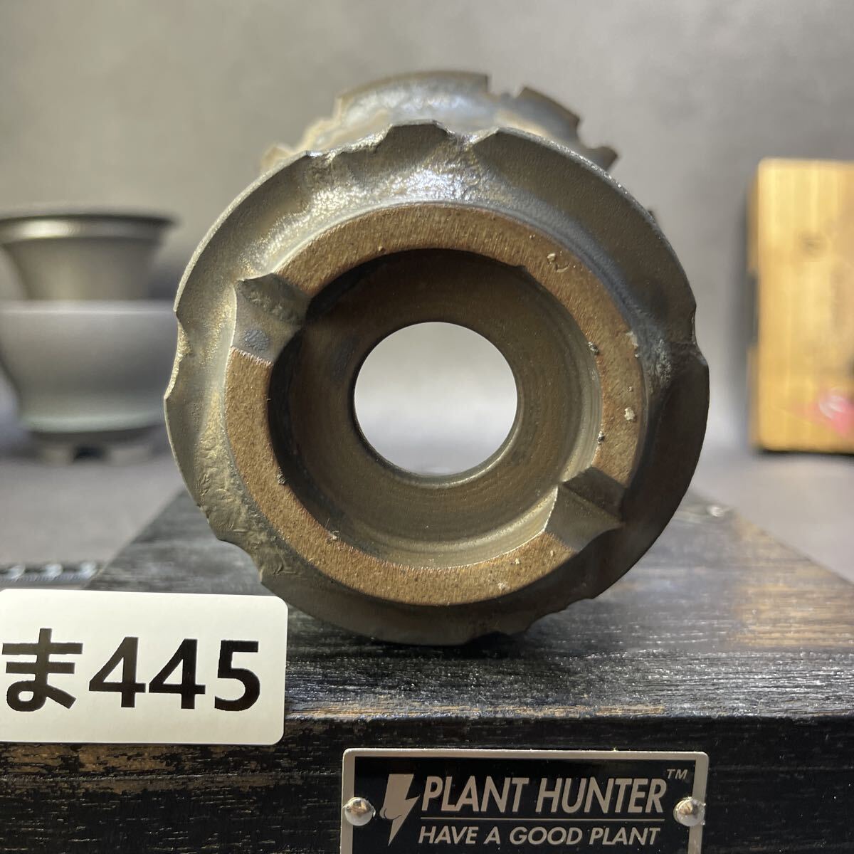 ま445 HAND Made 植木鉢 陶器検（アガベ パキプス 姫巌竜 帝釈天 黒火焔 factory SRL カタチ製作所 グラキリス 塊根植物 亀甲竜_画像6