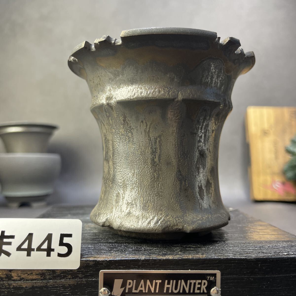 ま445 HAND Made 植木鉢 陶器検（アガベ パキプス 姫巌竜 帝釈天 黒火焔 factory SRL カタチ製作所 グラキリス 塊根植物 亀甲竜_画像10