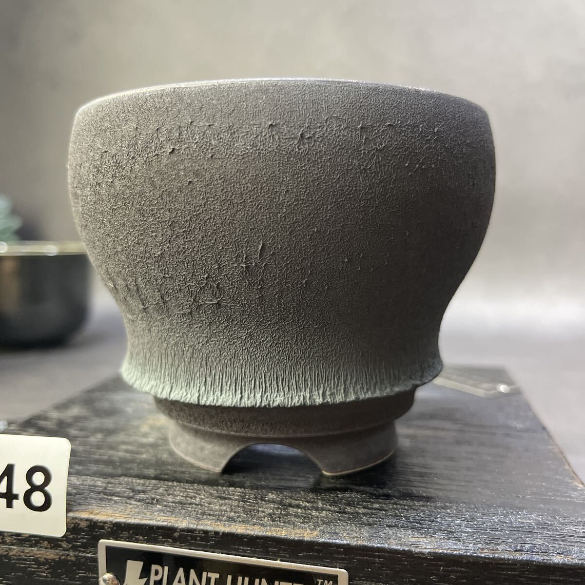 ま448 HAND Made 植木鉢 陶器検(アガベ パキプス 姫巌竜 帝釈天 黒火焔 factory SRL カタチ製作所 グラキリス 塊根植物 亀甲竜_画像2