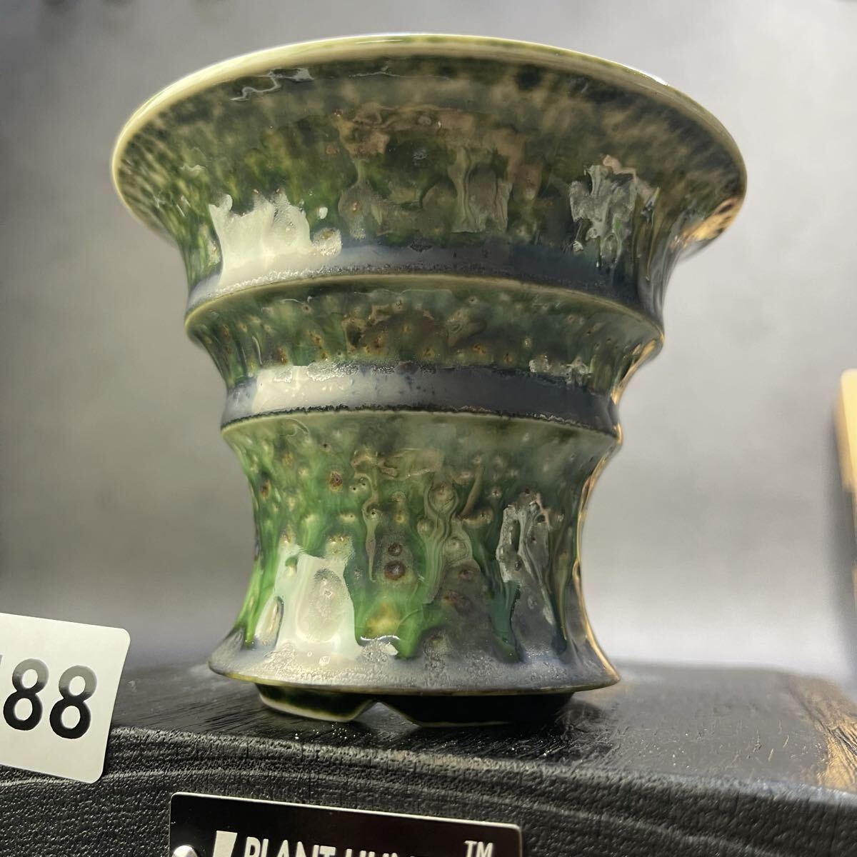 ま488 HAND Made 植木鉢 陶器検（アガベ パキプス 姫巌竜 帝釈天 黒火焔 factory SRL カタチ製作所 グラキリス 塊根植物 亀甲竜_画像10