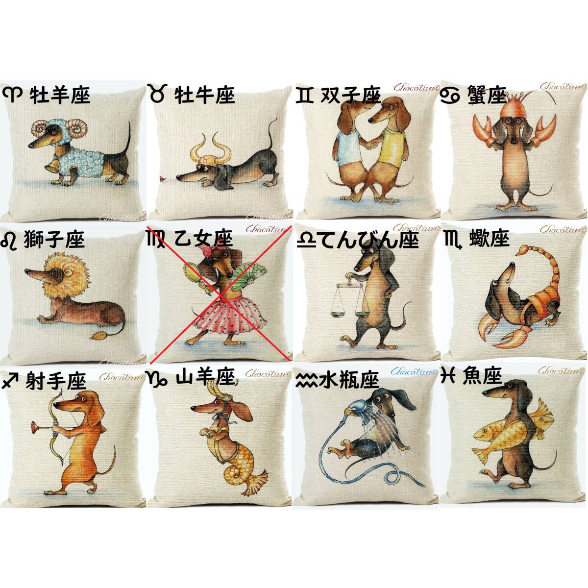 【送料無料】ダックスフンド 星座 水瓶座 クッションカバー 45x45【新品】_画像4