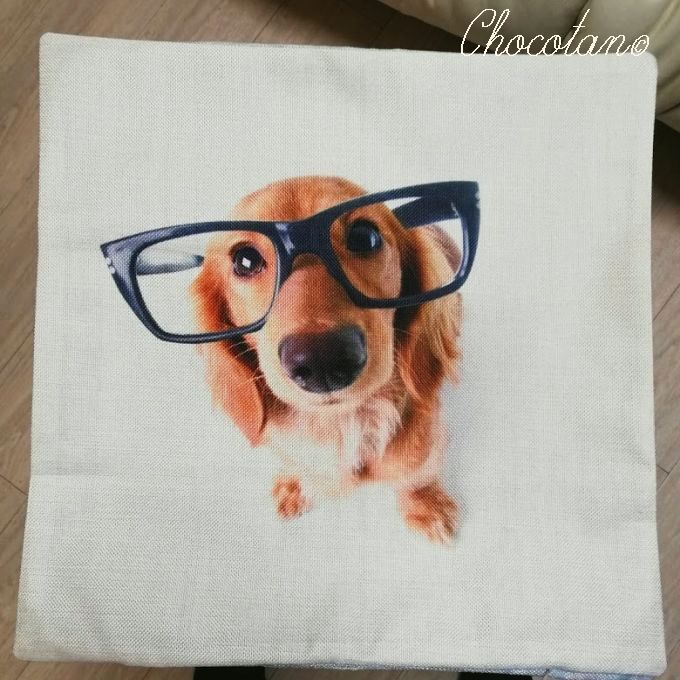 【送料無料】ダックスフンド a67 クッションカバー 45x45【新品】_画像2