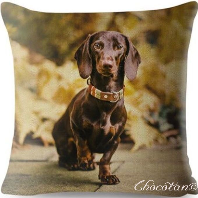 【送料無料】ダックスフンド a92 クッションカバー【新品】_画像1