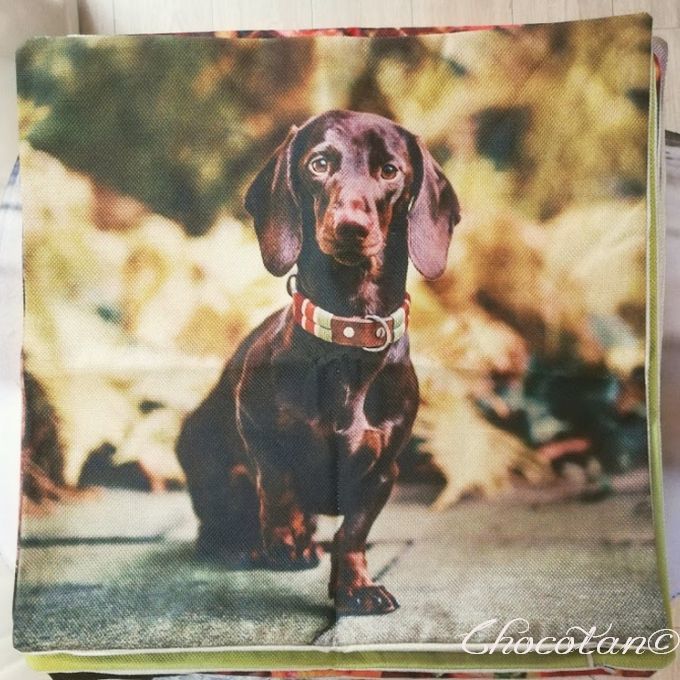 【送料無料】ダックスフンド a92 クッションカバー【新品】_画像2