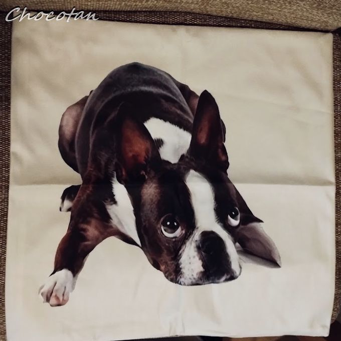 【送料無料】ボストンテリア Ａ ピーチスキン 45x45cm クッションカバー　【新品】_画像1