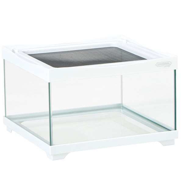  Kotobuki hyu гонг кейс 3120 белый рептилии * земноводные садок для разведения 