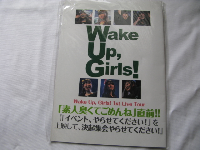 『WAKE UP ,Girls! G限定 1st LIVE TOUR イベント、やらせてください！』ツアーパンフレット　平成２６年　袋　定価１８５２円　_画像1