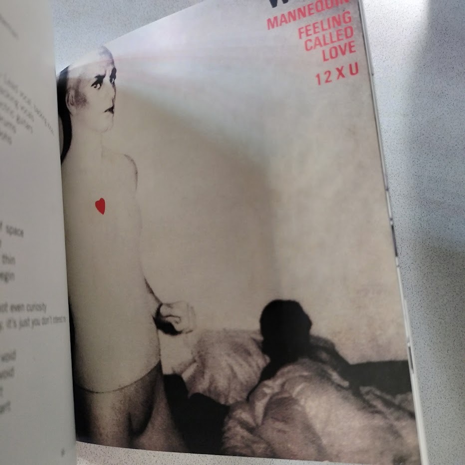 【2CD Special Edition】 Wire / Pink Flag_画像6