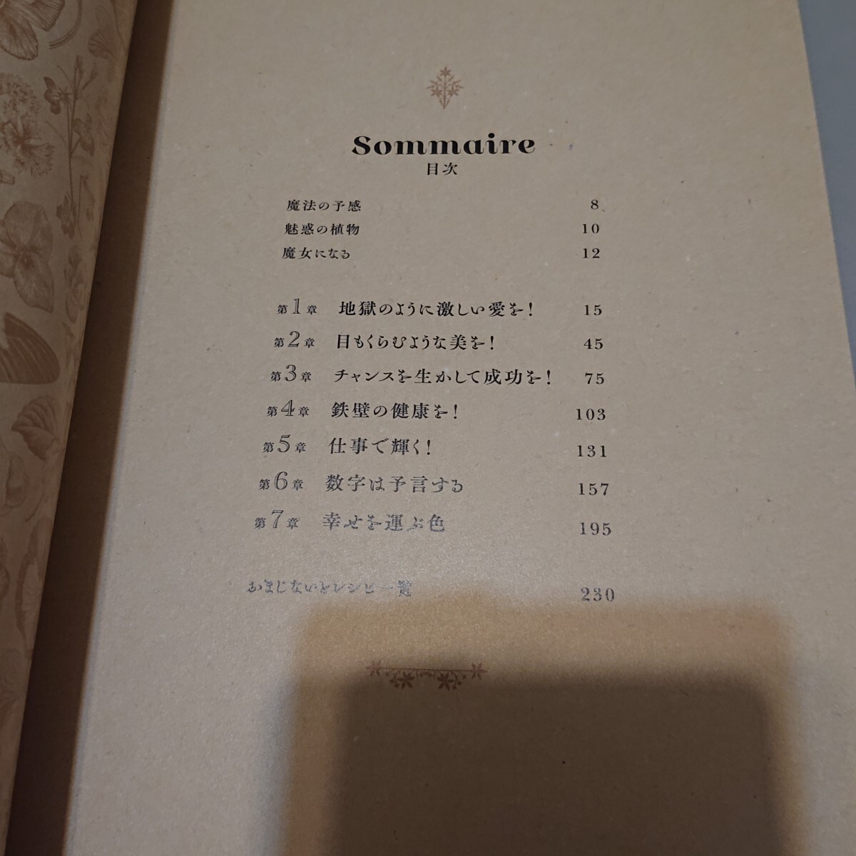 魔女の手引書 フランス流魔法のレシピ集_画像3