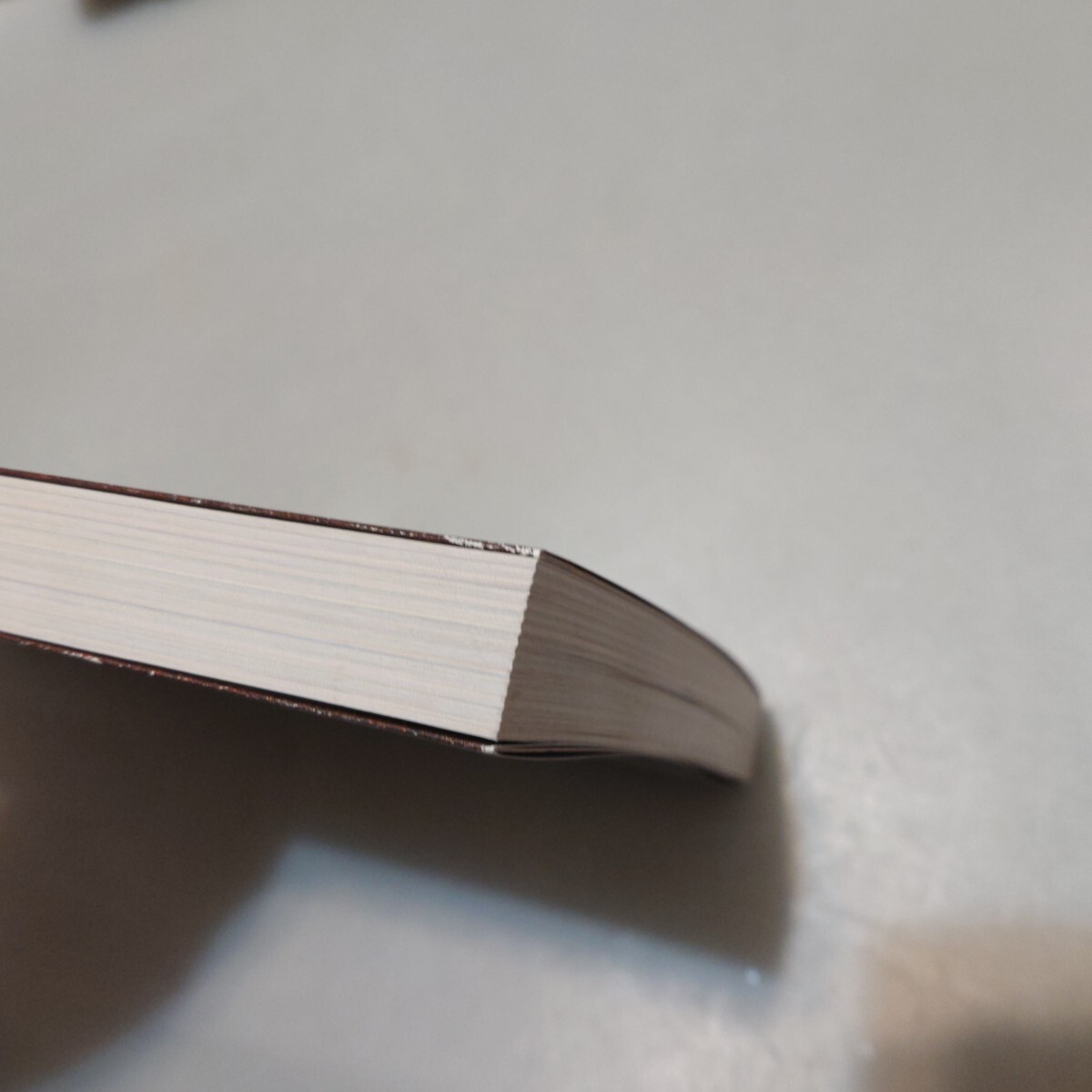 魔女の手引書 フランス流魔法のレシピ集_画像6