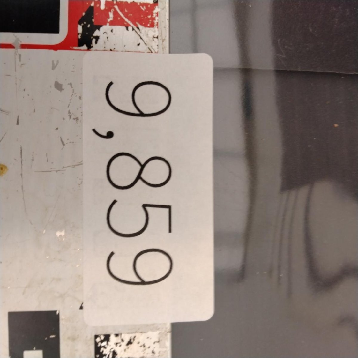 9859 「塊根植物」キフォステンマ モンタグナッキー 抜き苗【9/28最新到着・Cyphostemma montagnacii・多肉植物・マダガスカル】_画像3