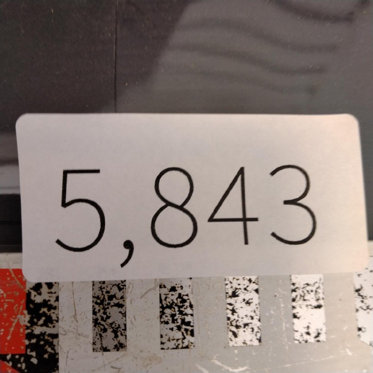 5843 「多肉植物W」テフロカクタス ゲオメトリクス【発根・Tephrocactus geometricus・サボテン】の画像3