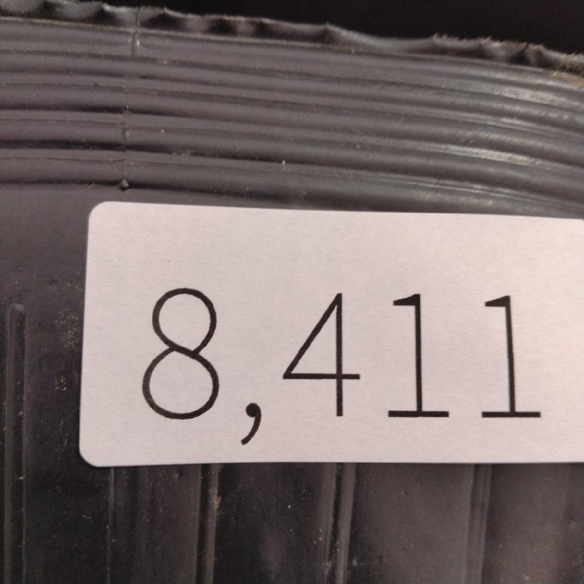 8411 「塊根植物」チレコドン レティキュラータス 抜き苗【最新到着・多肉・Tylecodon reticulatus・万物想 ・枯枝・折枝アリ】の画像2