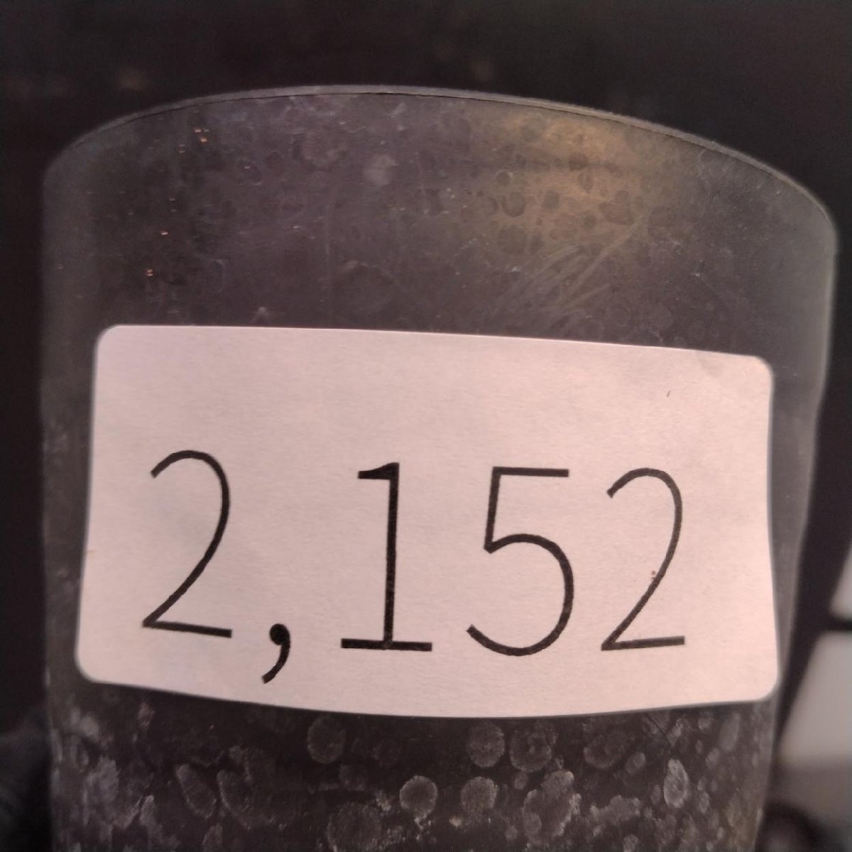 2152 「塊根植物」パキポディウム グラキリス  抜き苗【10/14最新到着・根切確認済・ P.gracilius・多肉植物】の画像2