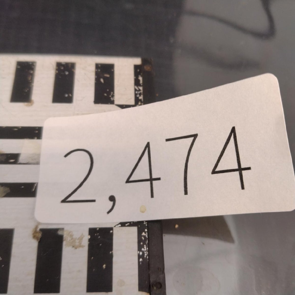 2474 「塊根植物」パキポディウム グラキリス 抜き苗【10/14最新到着・根切確認済・ P.gracilius・多肉植物】の画像2