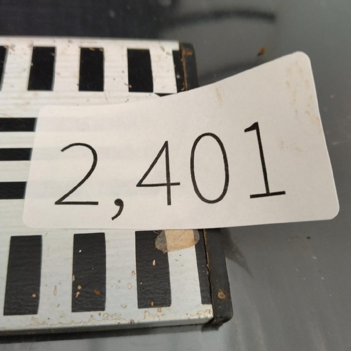 2401 「塊根植物」パキポディウム グラキリス 選抜株 抜き苗【10/14最新到着・根切確認済・ P.gracilius・多肉植物】の画像2