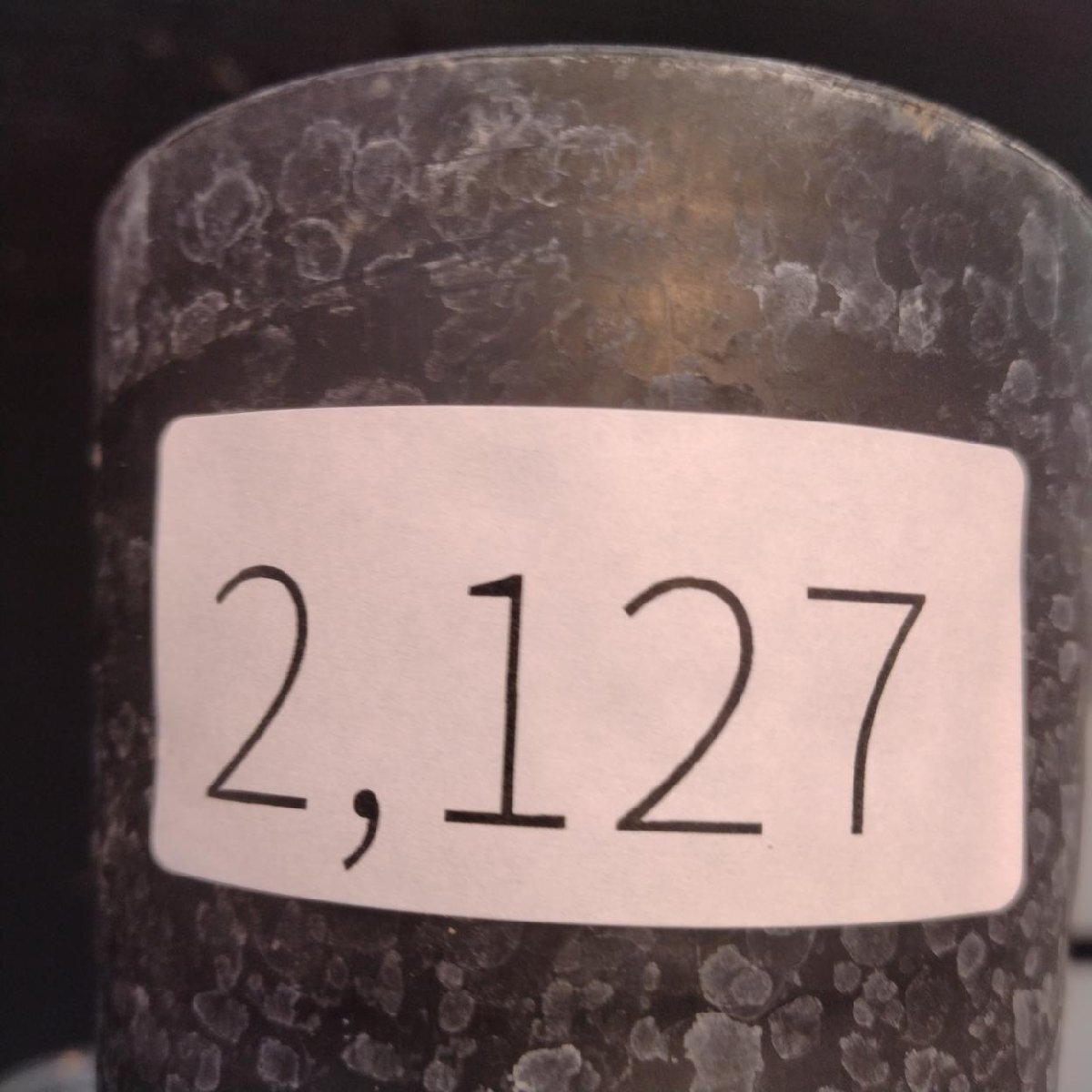 2127 「塊根植物」パキポディウム グラキリス  抜き苗【10/14最新到着・根切確認済・ P.gracilius・多肉植物】の画像2