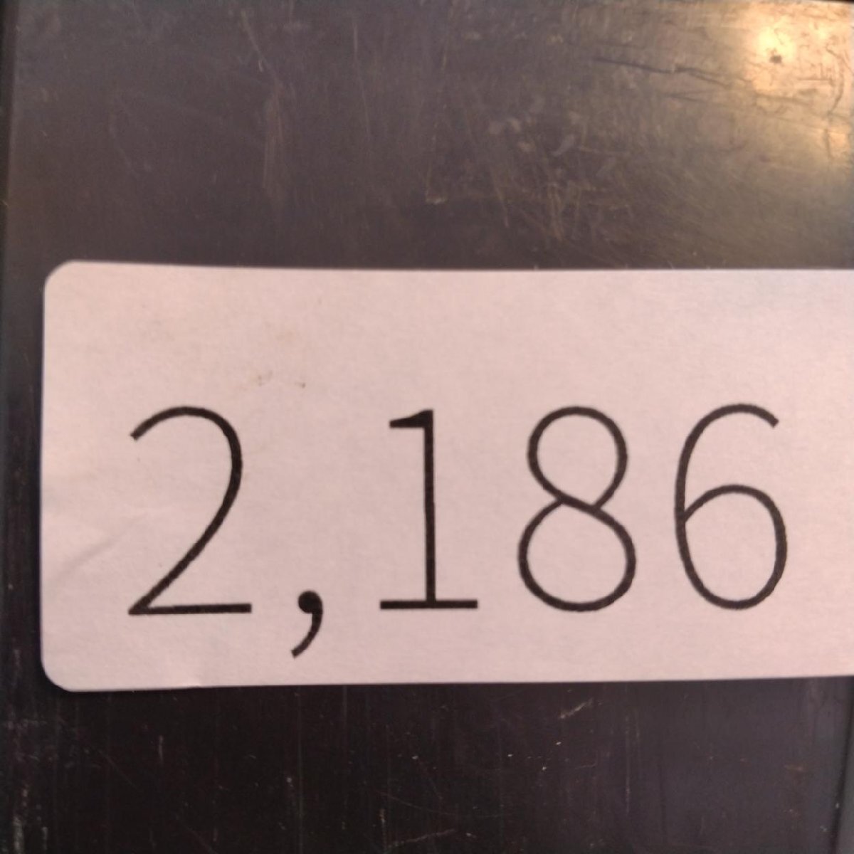 2186 「塊根植物」パキポディウム グラキリス  抜き苗【10/14最新到着・根切確認済・ P.gracilius・多肉植物】の画像2