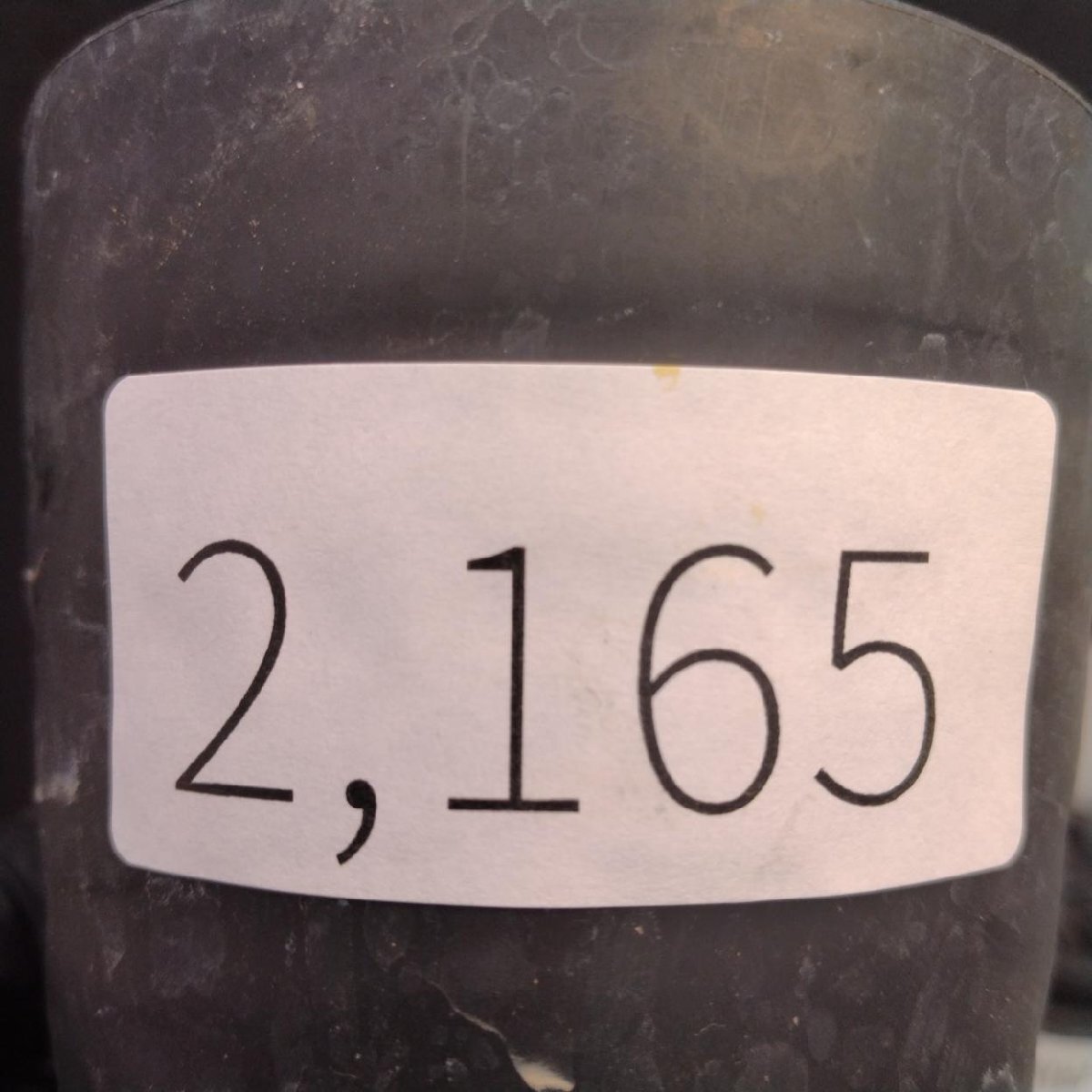 2165 「塊根植物」パキポディウム グラキリス  抜き苗【10/14最新到着・根切確認済・ P.gracilius・多肉植物】の画像2