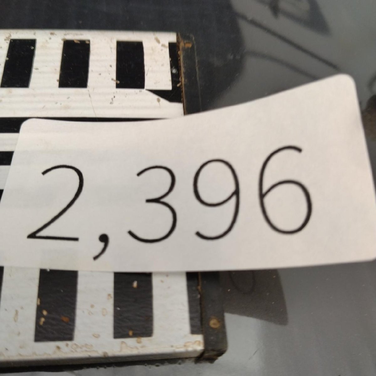 2396 「塊根植物」パキポディウム グラキリス 選抜株 抜き苗【10/14最新到着・根切確認済・ P.gracilius・多肉植物】の画像5