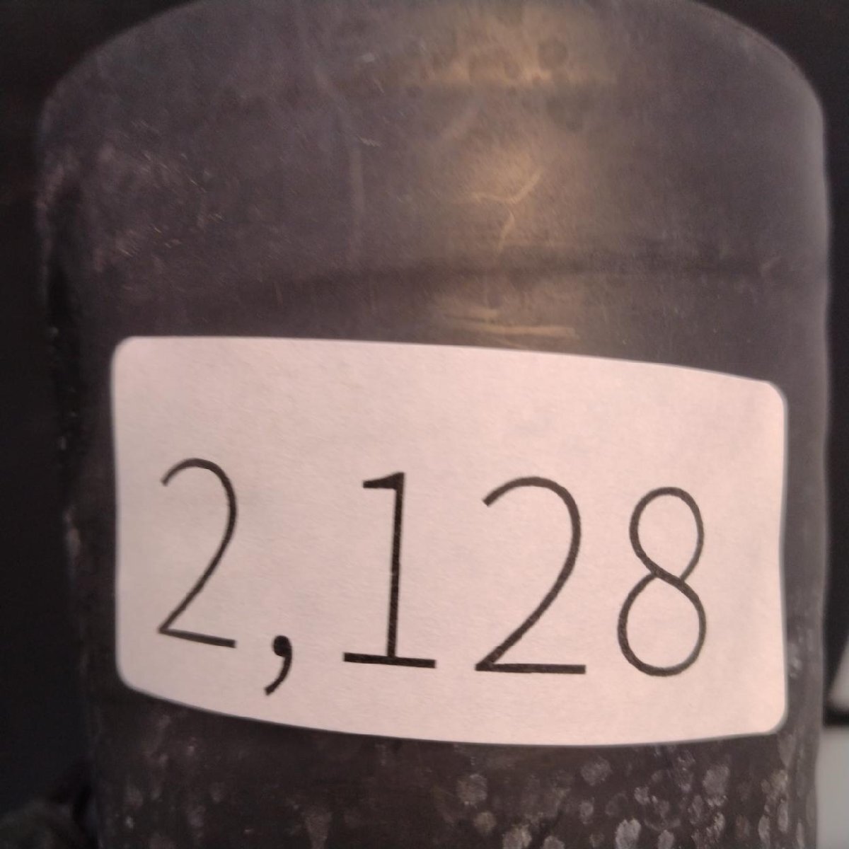 2128 「塊根植物」パキポディウム グラキリス  抜き苗【10/14最新到着・根切確認済・ P.gracilius・多肉植物】の画像2