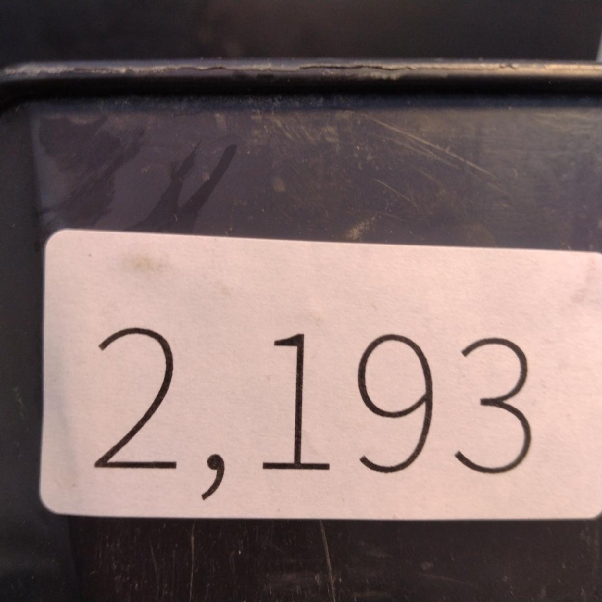 2193 「塊根植物」パキポディウム グラキリス  抜き苗【10/14最新到着・根切確認済・ P.gracilius・多肉植物】の画像2