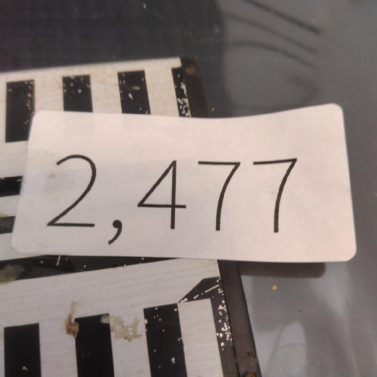 2477 「塊根植物」パキポディウム グラキリス 抜き苗【10/14最新到着・根切確認済・ P.gracilius・多肉植物】の画像2