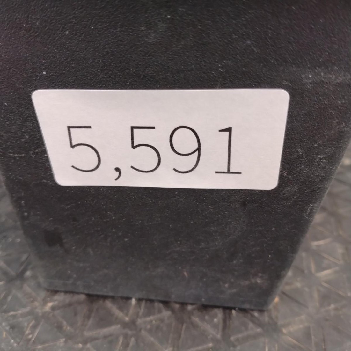 5591 「塊根植物」チレコドン レティキュラーツス【発根未確認・発芽中・多肉植物・Tylecodon reticulatus・万物想 ・枯枝・折枝アリ】の画像2