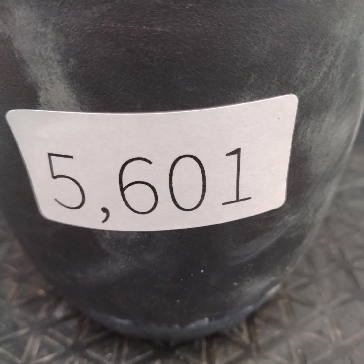 5601 「塊根植物」チレコドン レティキュラーツス【発根未確認・発芽中・多肉植物・Tylecodon reticulatus・万物想 ・枯枝・折枝アリ】の画像2